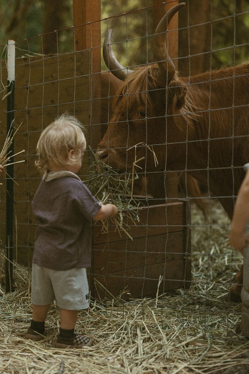 Take Home Farm Eggs, Beef, Or A Plush Cow That Never Sheds Take Home Farm Eggs, Beef, Or A Plush Cow That Never Sheds
