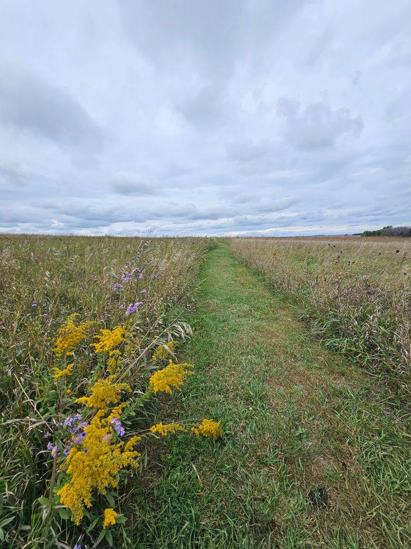 Tallgrass Prairie That Never Met A Plow Tallgrass Prairie That Never Met A Plow