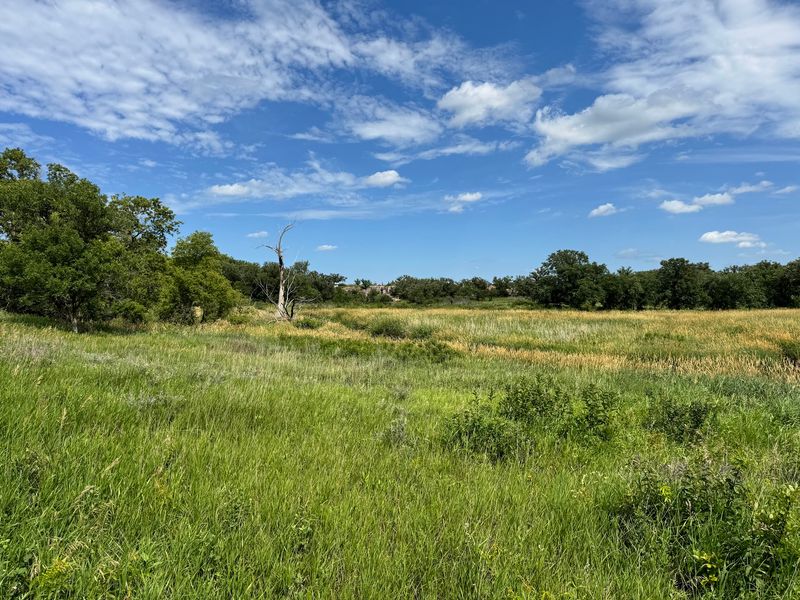Tallgrass Prairie and Surprise Wildlife