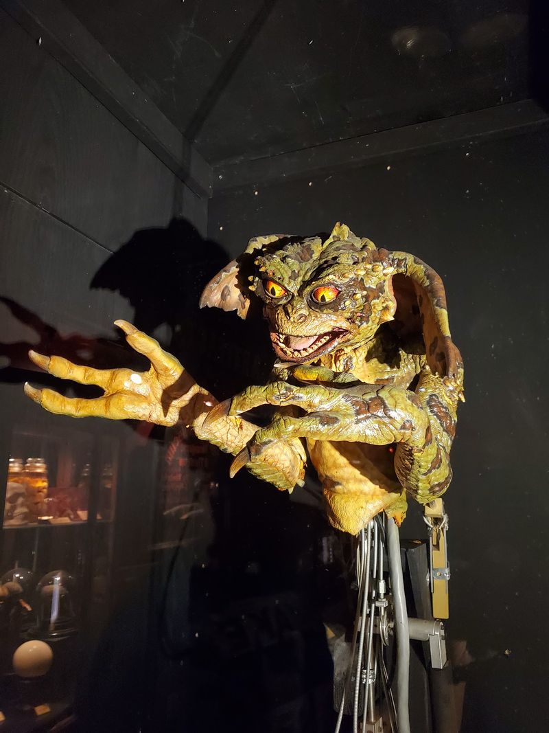 Tarantulas, Creepy Dolls, and Souvenirs to Take Home