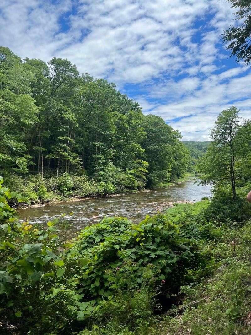 Ten and a Half Miles Along the Greenbrier