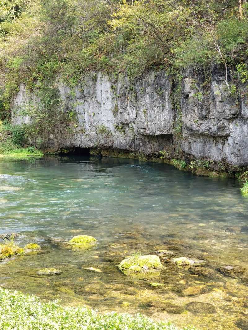That Blue Spring Pours Out Millions Of Gallons Every Day