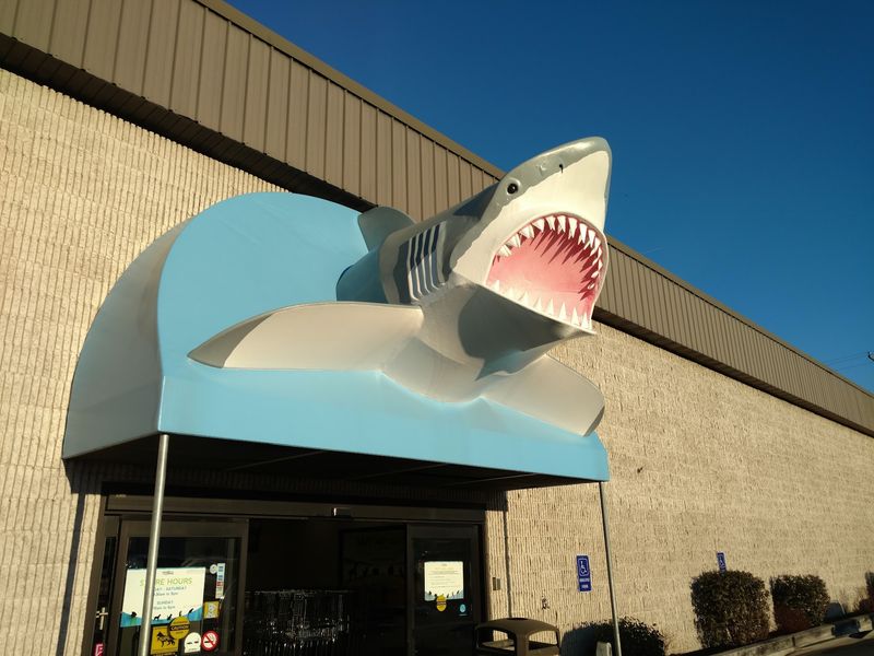 That Giant Shark Head Is Your First Clue This Trip Will Be Different That Giant Shark Head Is Your First Clue This Trip Will Be Different