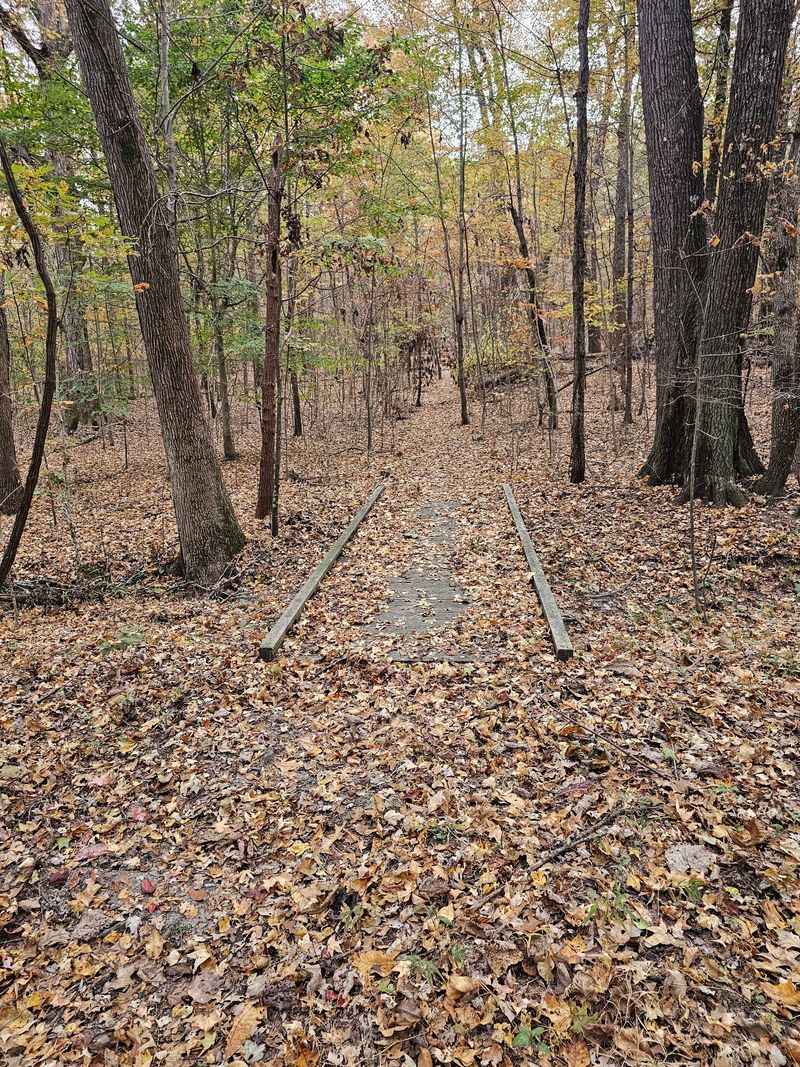 The Beech Tree Trail Packs A Lot Into 2.6 Miles The Beech Tree Trail Packs A Lot Into 2.6 Miles