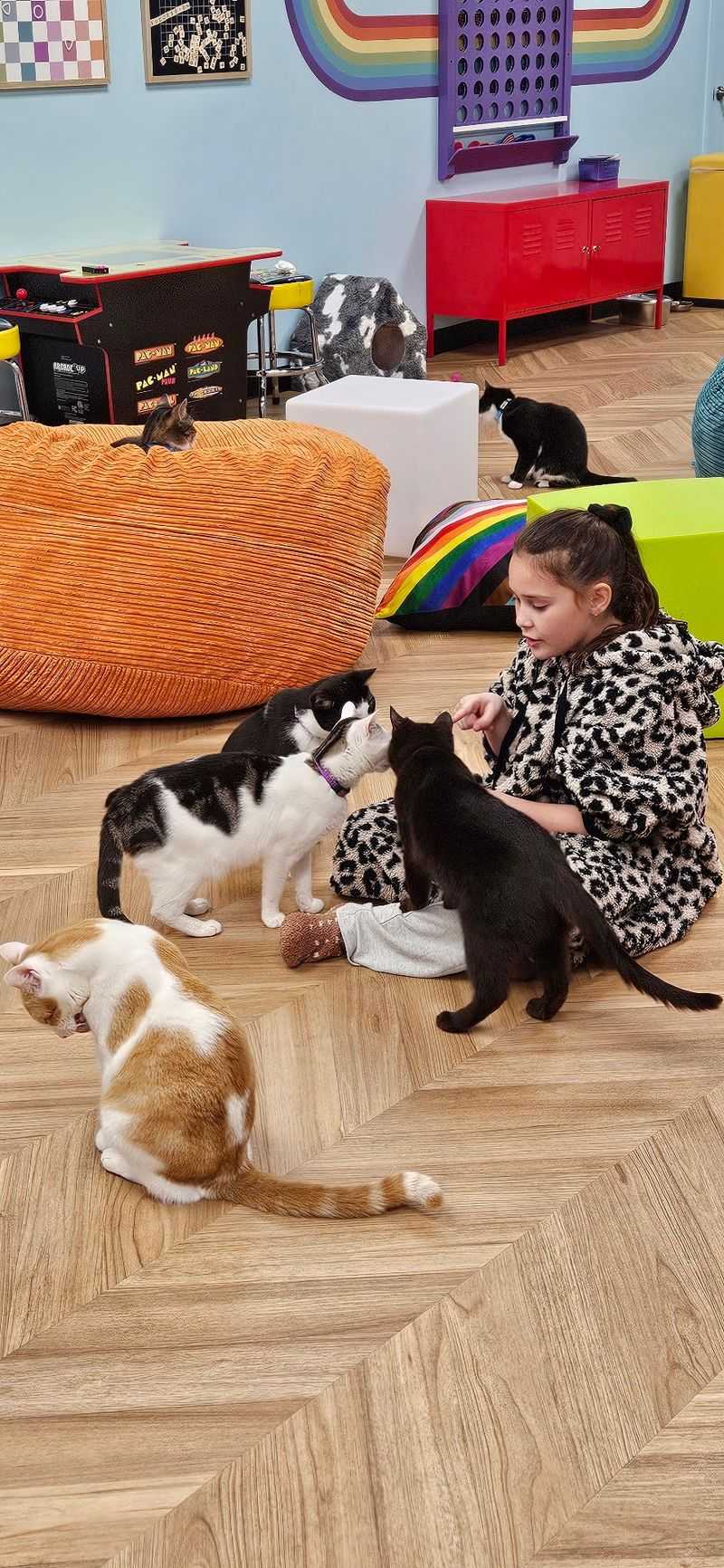 The Big Goal Behind Every Purr