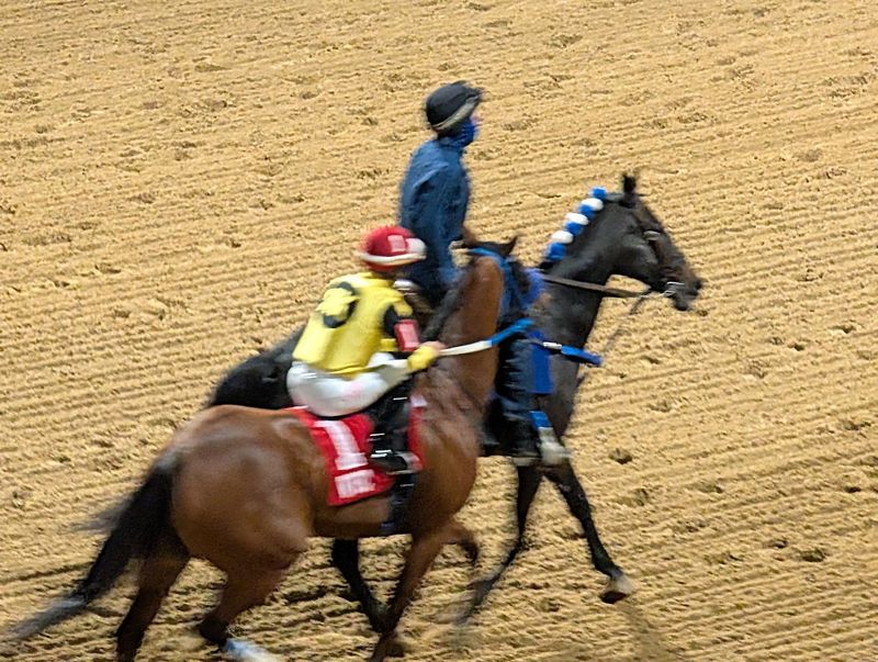 The Big Race Days Worth Circling On Your Calendar