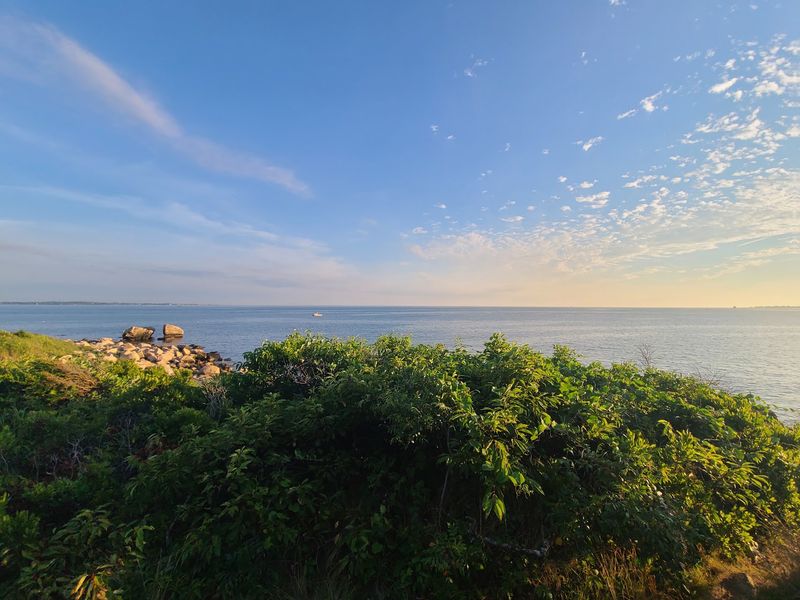 The Bluff That Makes You Stop Talking