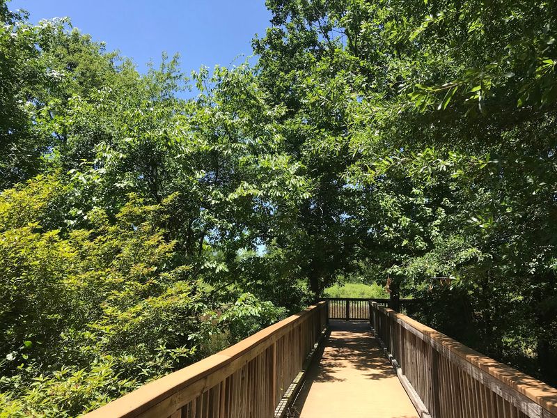 The Boardwalk Over Duck Roost Slough