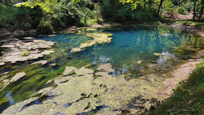 The Cold Spring That Never Quits The Cold Spring That Never Quits