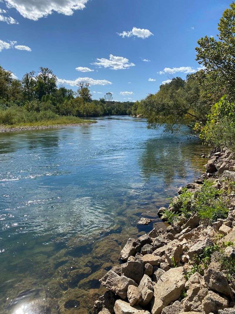 The Current River Sets The Pace, And It Is In No Hurry The Current River Sets The Pace, And It Is In No Hurry