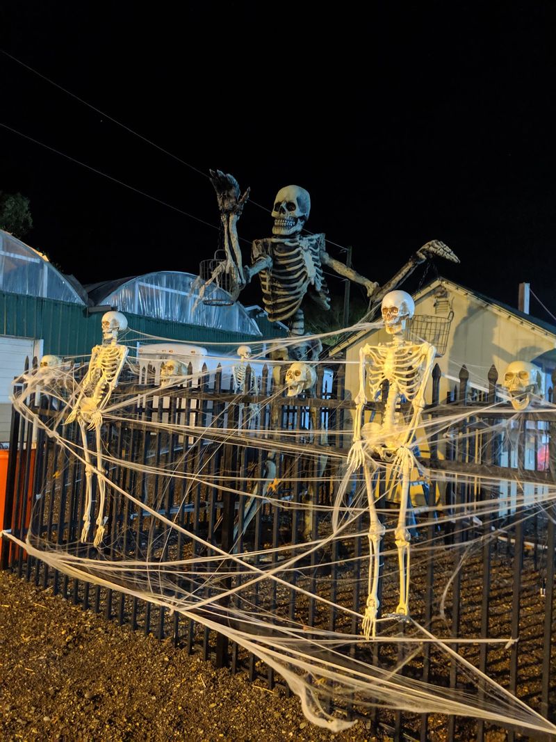 The Farm That Started Scaring People To Stay In Business The Farm That Started Scaring People To Stay In Business