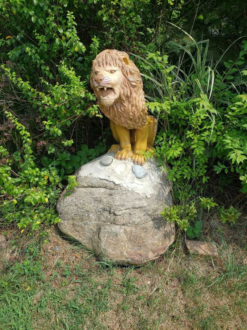 The First MGM Lion Never Made A Single Sound On Screen