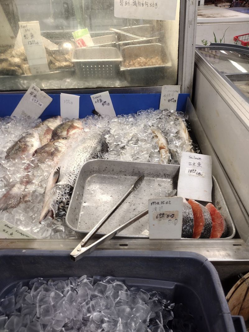 The Freezer Section Where Dumplings Rule