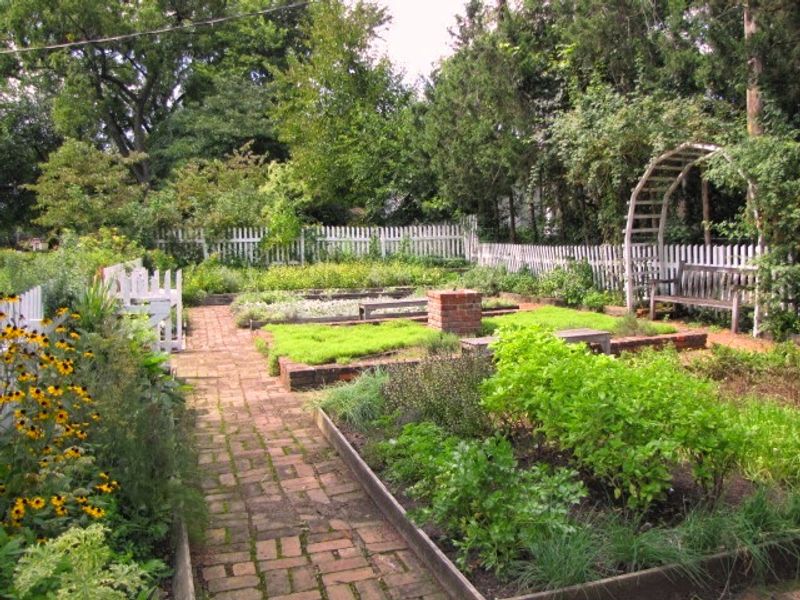 The Garden Out Back Deserves Your Attention
