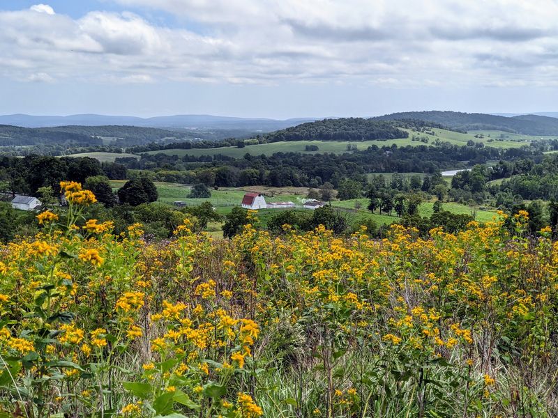 The Gift That Turned Pasture Into Paradise