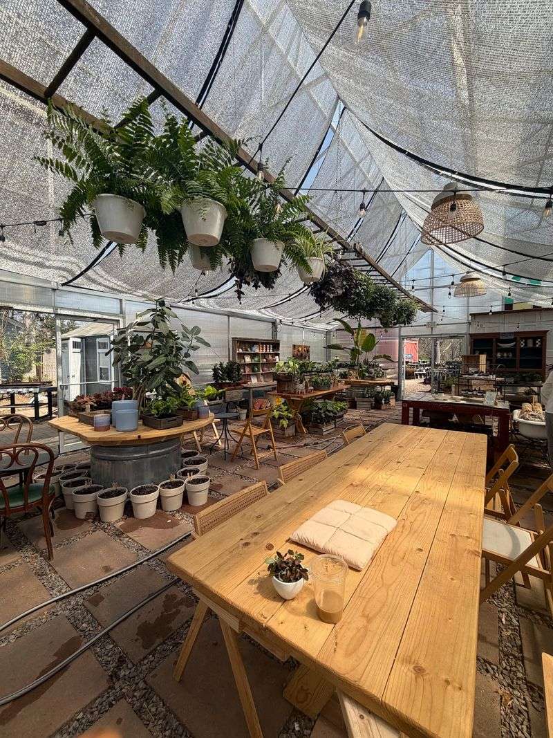 The Greenhouse Out Back Is The Real Showstopper The Greenhouse Out Back Is The Real Showstopper