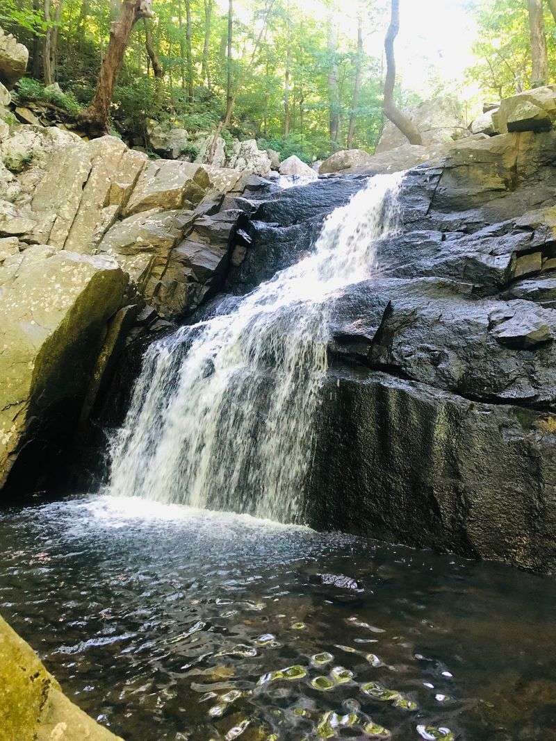 The Healing Water Craze Started Right Here The Healing Water Craze Started Right Here