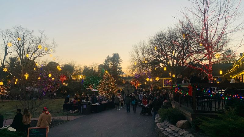 The Holiday Lights Turn A Stroll Into A Glowing Evening