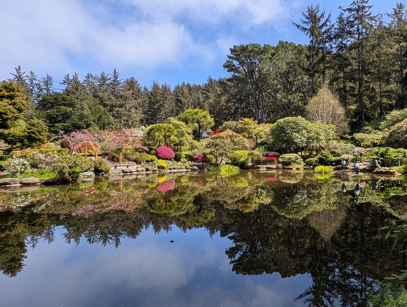 The Lily Pond Where Time Slows Way Down