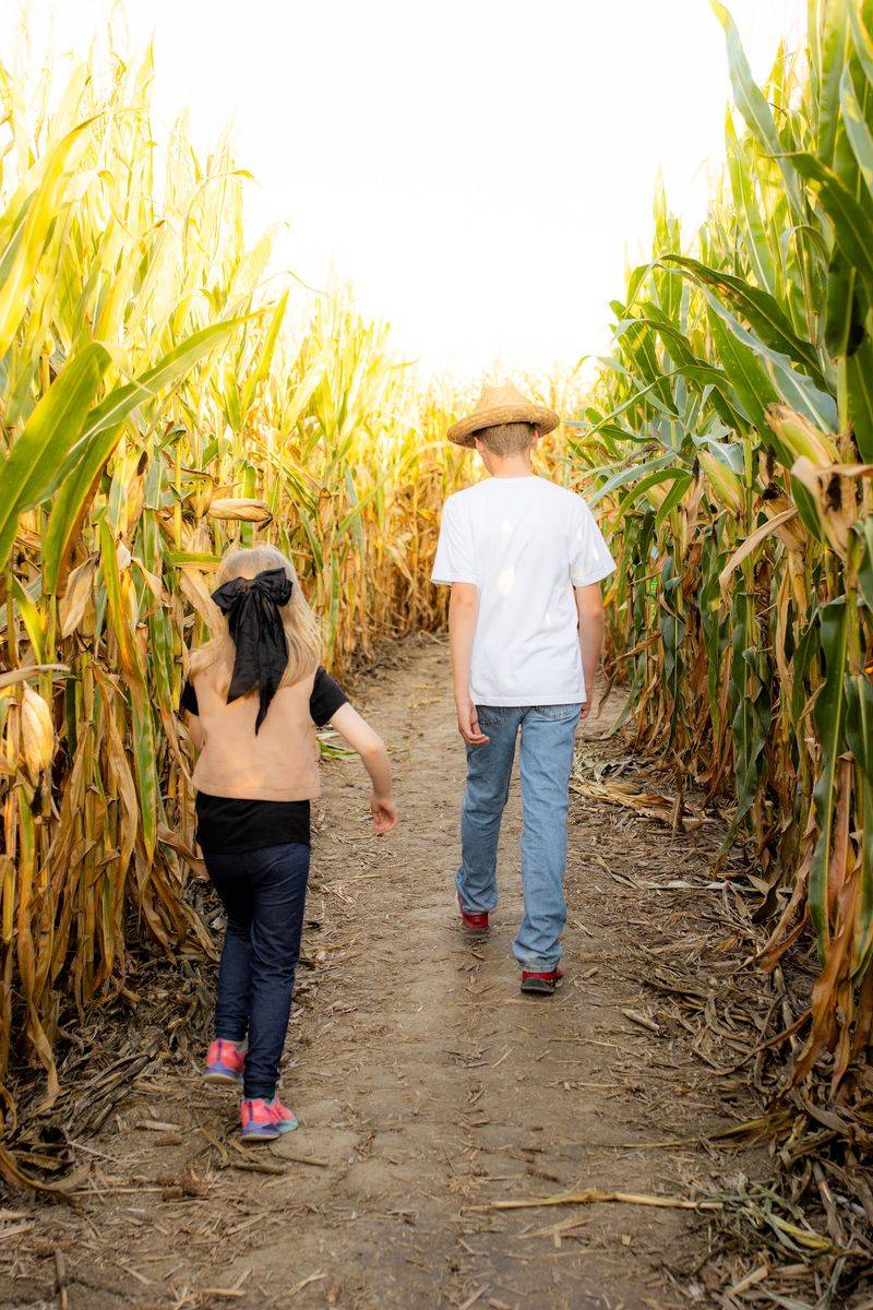 The Maize At Little Darby Creek, Milford Center, OH The Maize At Little Darby Creek, Milford Center, OH