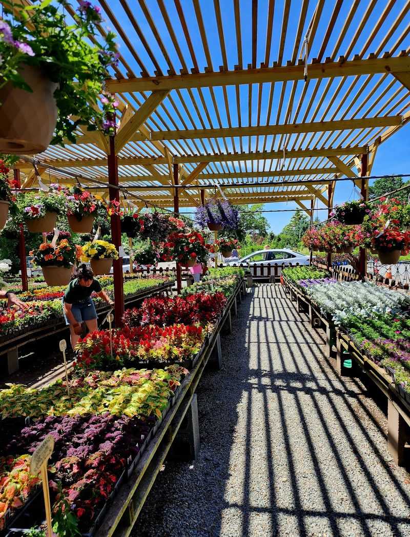 The Plant Lineup Covered Pretty Much Every Yard Problem You Could Have