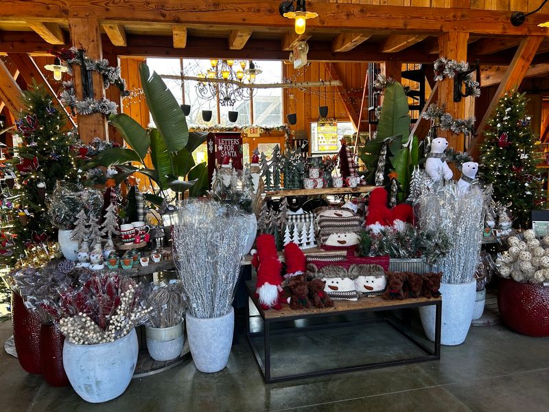 The Plant Shop Swaps Its Mums For A Wall Of Twinkle The Plant Shop Swaps Its Mums For A Wall Of Twinkle