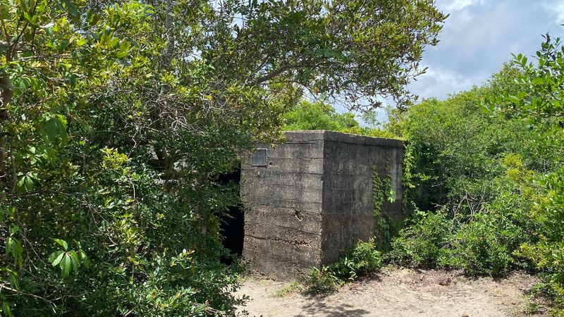 The Road That Led Robert Harrill to the Marsh