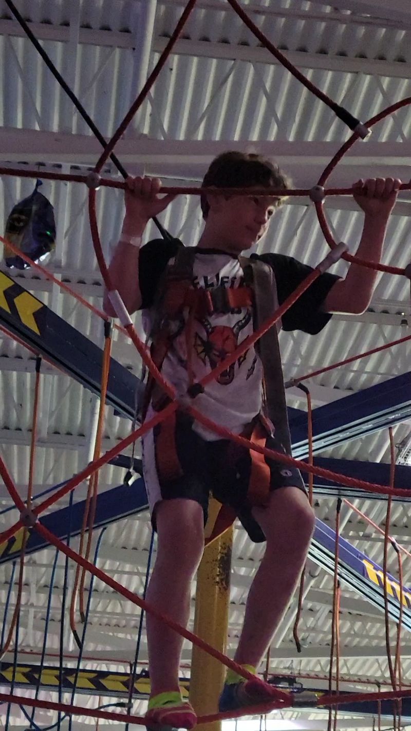 The Ropes Course Up Near the Ceiling