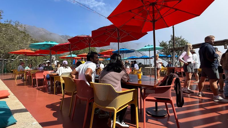 The Terrace Where Time Slows Down