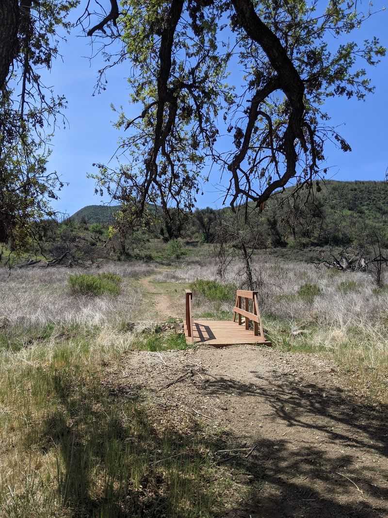 The Trails Are the Real Stars Now The Trails Are the Real Stars Now