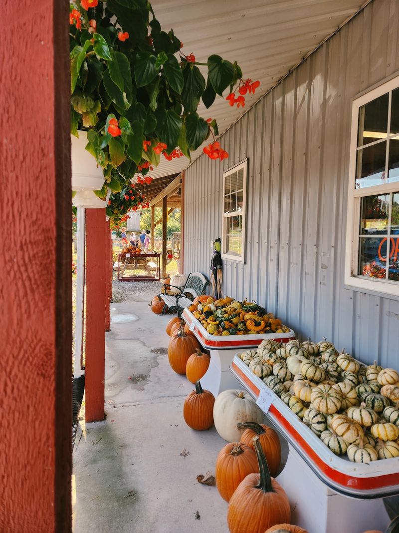 Thierbach Orchards Apple Junction