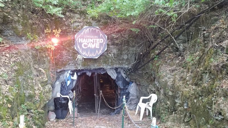 Thousands Of Real Bats Call This Cave Home Thousands Of Real Bats Call This Cave Home