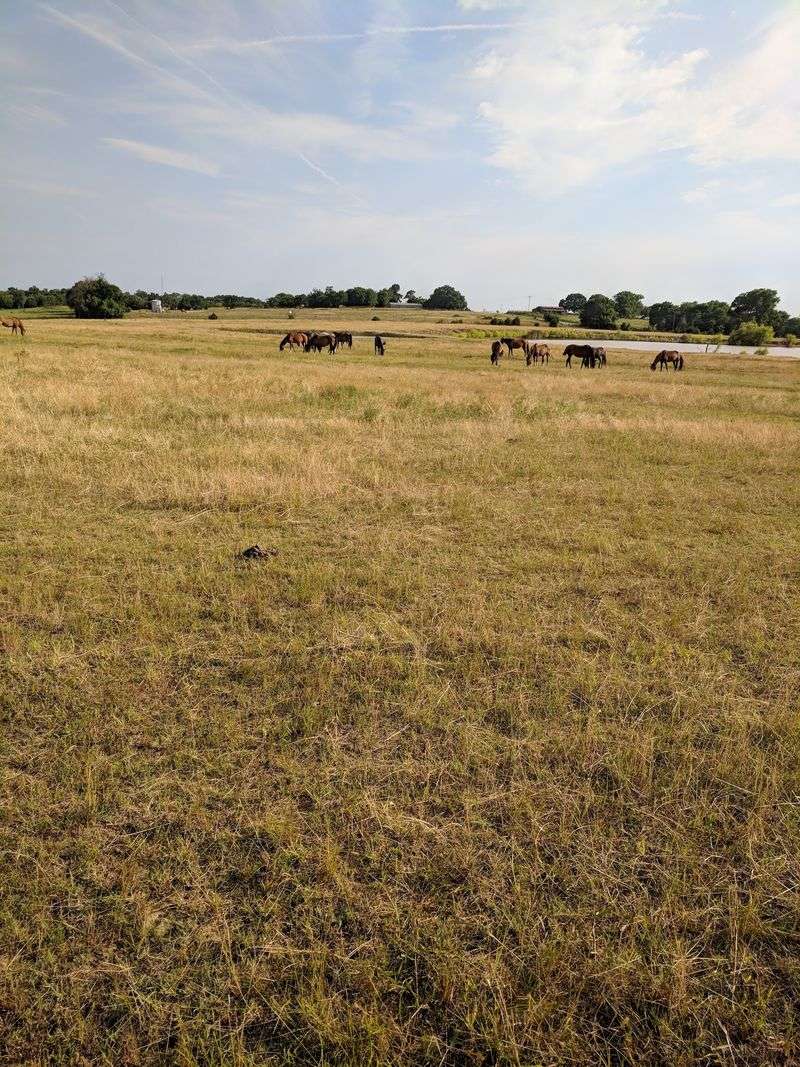 Thousands of Acres of Varied Terrain Thousands of Acres of Varied Terrain