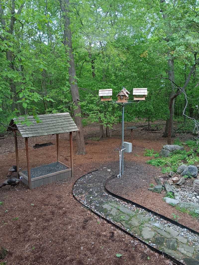 Three Paved Trails Let You Explore The Snakes' Neighborhood Three Paved Trails Let You Explore The Snakes' Neighborhood