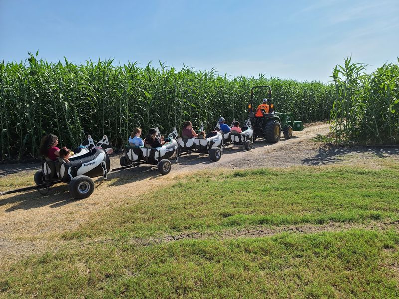 Three Women, One Cornfield, And A Very Good Idea