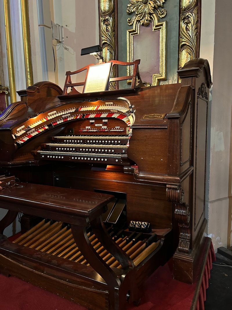 Thunder, Birdsong, and Car Horns From One Instrument