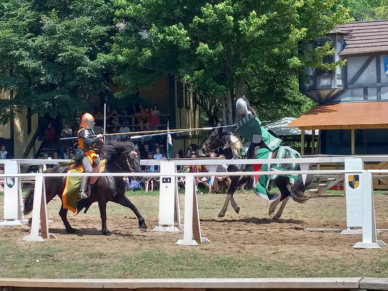 Thundering Hooves in the Jousting Arena Thundering Hooves in the Jousting Arena
