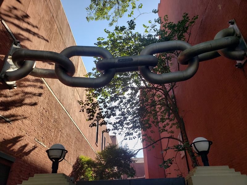 Tips for Your Own Chain Sighting
