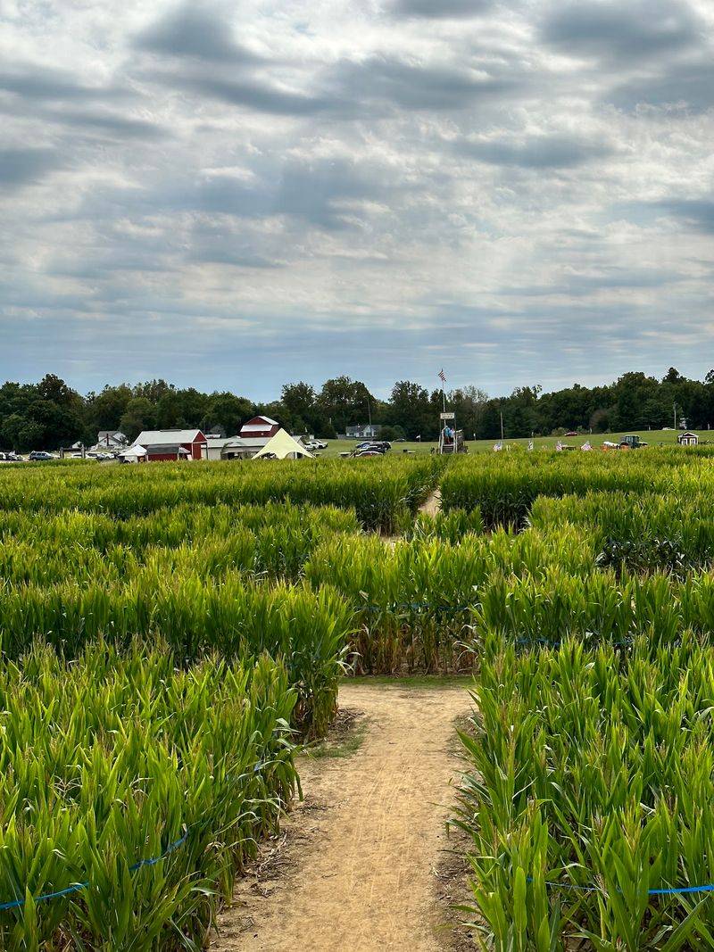 Tom's Maze and Pumpkin Farm, Germantown, OH Tom's Maze and Pumpkin Farm, Germantown, OH