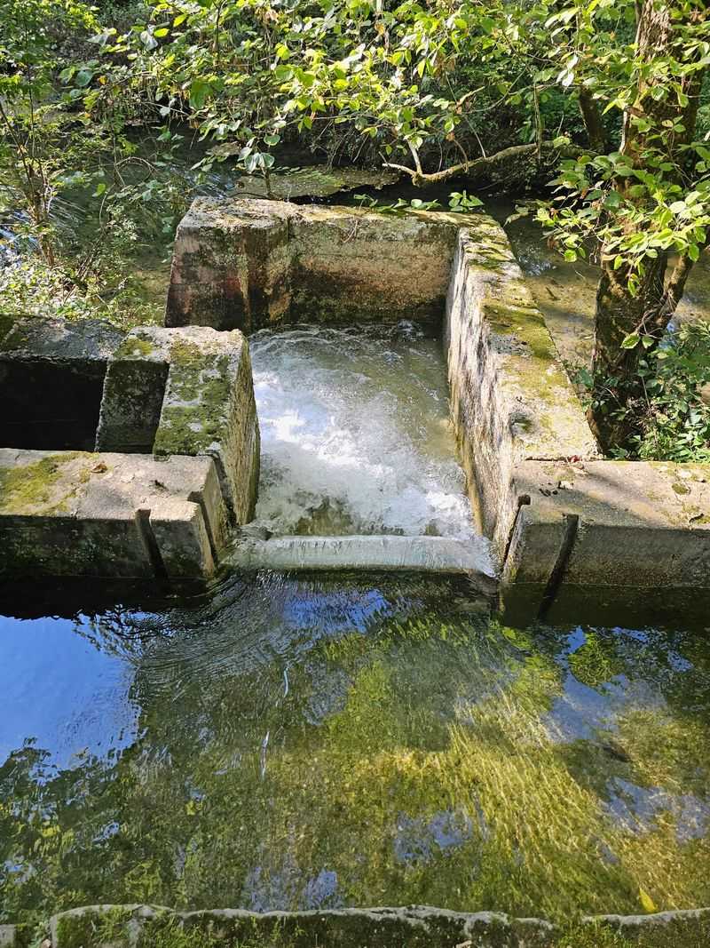 Topaz Spring And All That Rushing Water