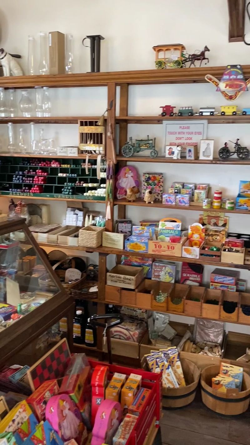 Toys, Puzzles, and Treats for Every Age
