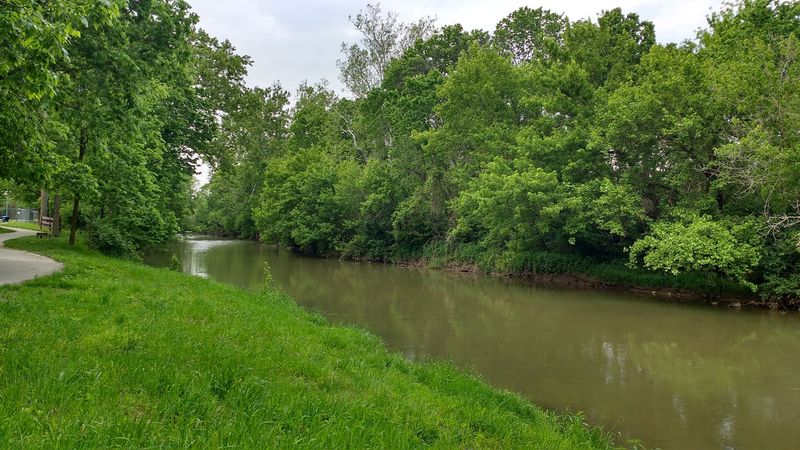 Trails, Creeks, and a Disc Golf Detour