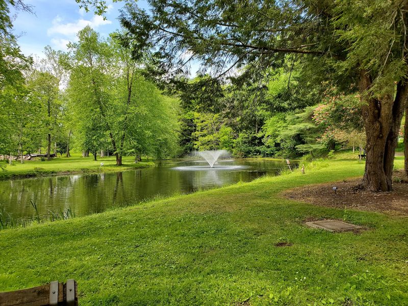 Trails, Fly Fishing, and Picnics by Oil Creek