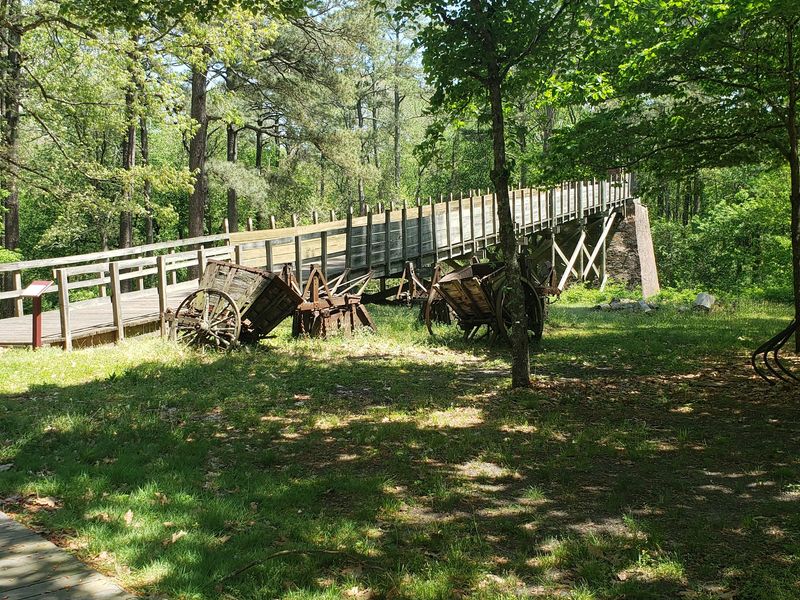Trails Into the Swamp and Forest Trails Into the Swamp and Forest