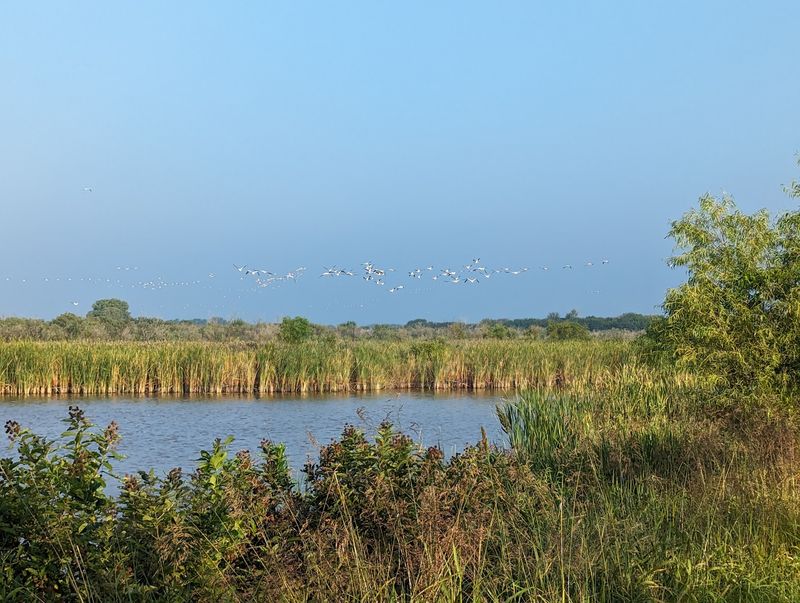 Trails, Marsh Boardwalks and 300 Bird Species