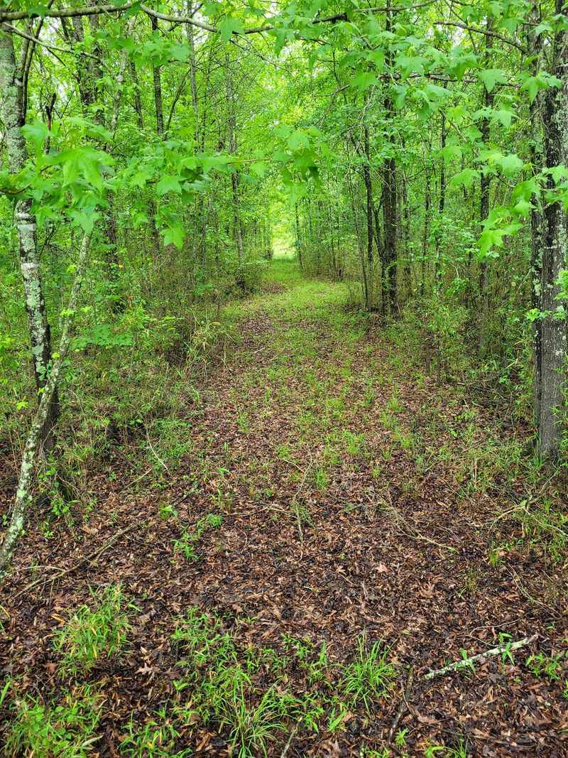 Trails, Paddles, and Fishing Lines