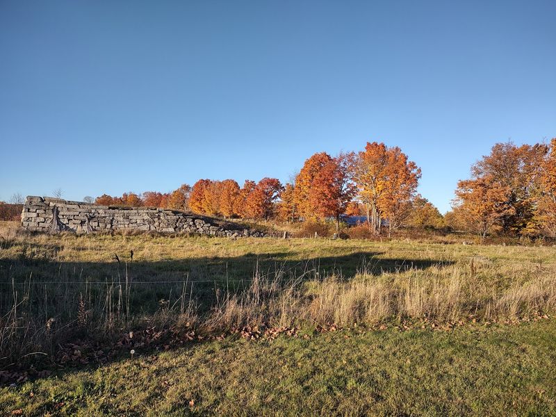 Trails, Ponds, and Woodland Wanderings