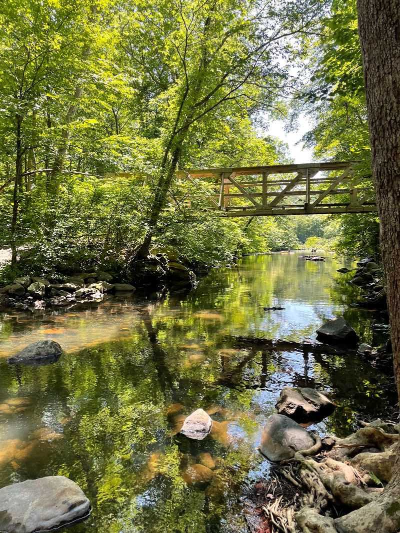 Trails, Streams, and Quiet Water