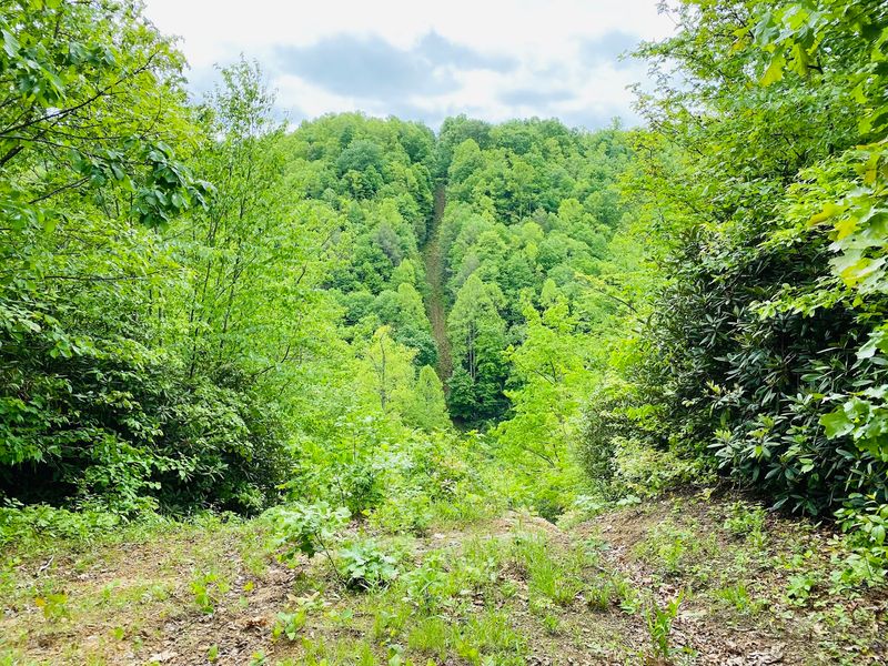 Trails That Keep Going Past The Property Line