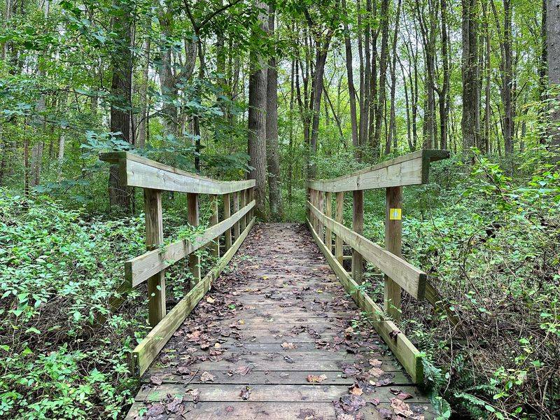 Trails That Swap Shady Woods for Open Farmland